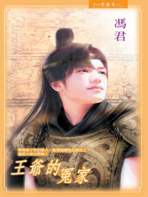cover image of 王爺的冤家